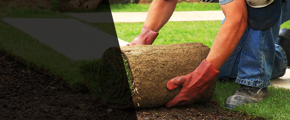 Morristown Landscapers